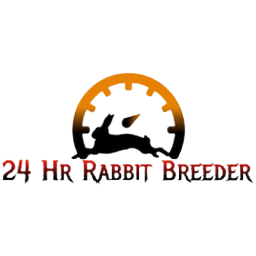 Buy rabbit online near me Rabbit Shop 24 Hour Rabbit Breeder