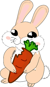 rabbit carrot lover