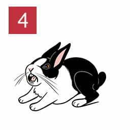 Rabbit Cute Bahaviours (Unworried Rabbit 04)