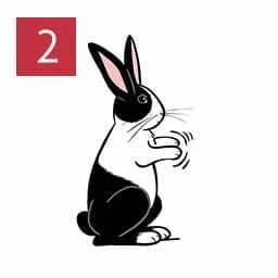 Rabbit Cute Bahaviours (Unworried Rabbit 02)