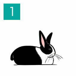 Understanding your pet rabbit (Happy Rabbit 01)