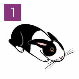 Rabbit Breeder (Worried Rabbit 01)