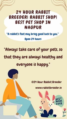 Pet care advice