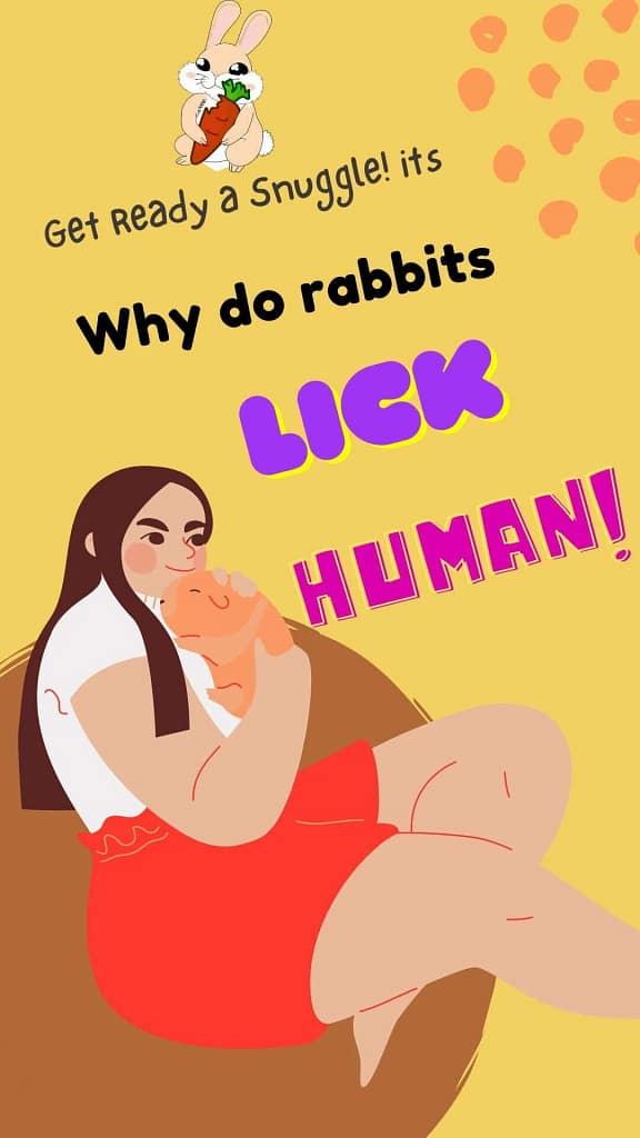 WHY DOES A RABBIT LICKING ME?