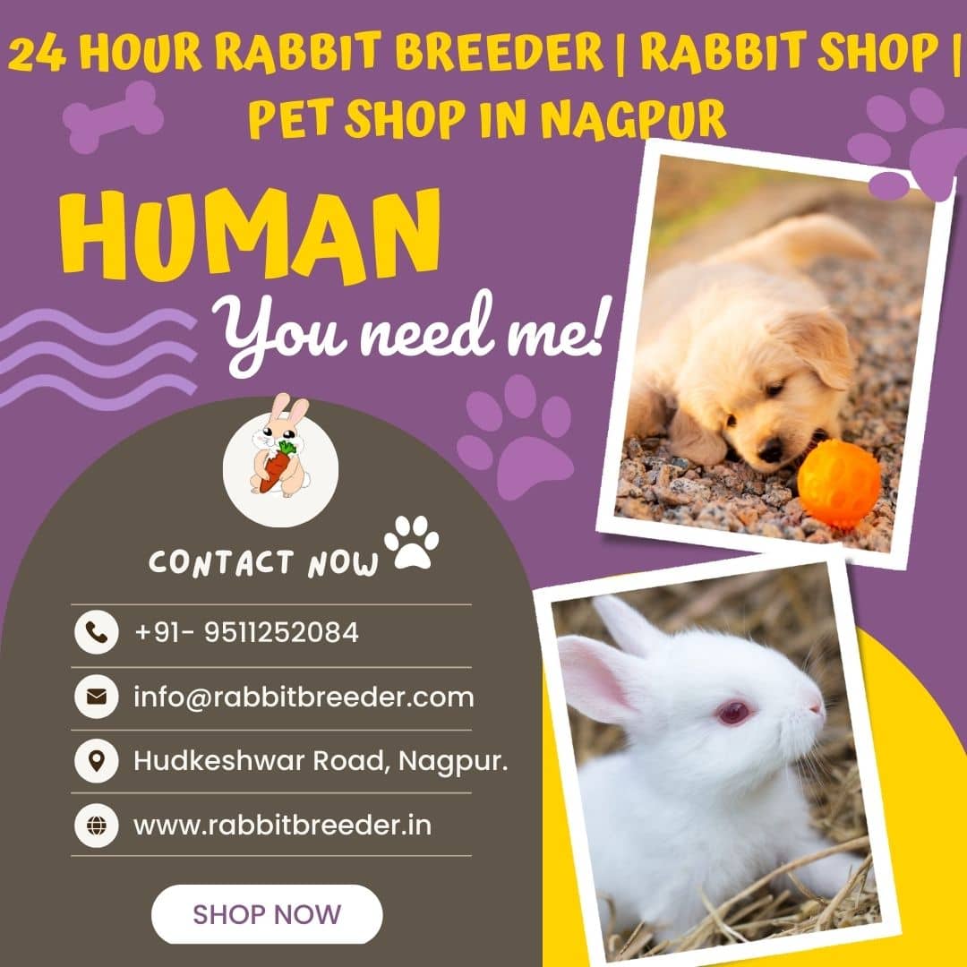 24 hour pet shop near me top